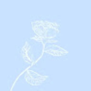 Meet your Posher, Brenna